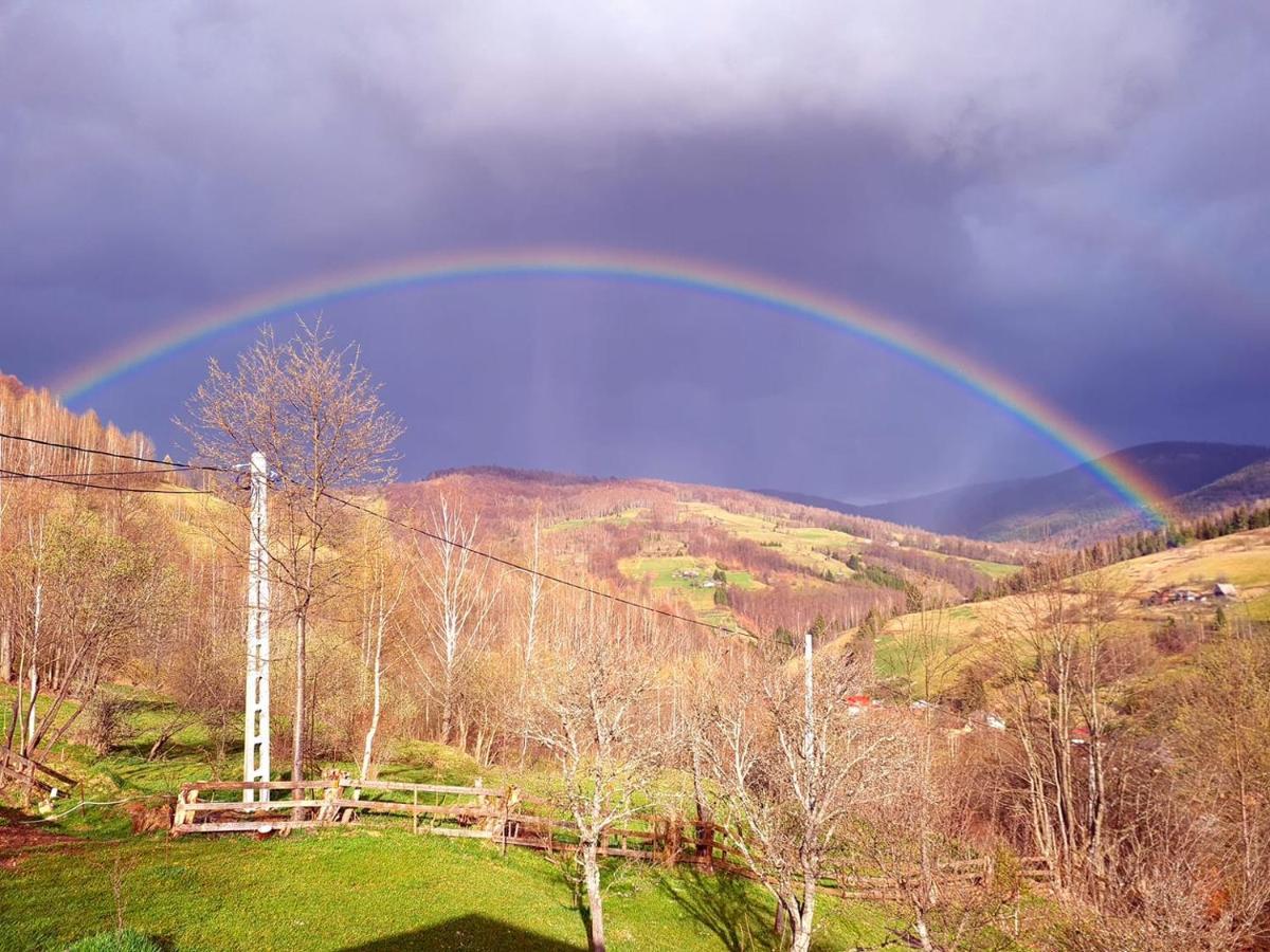 Apuseni Holidays Răchițele Exterior foto