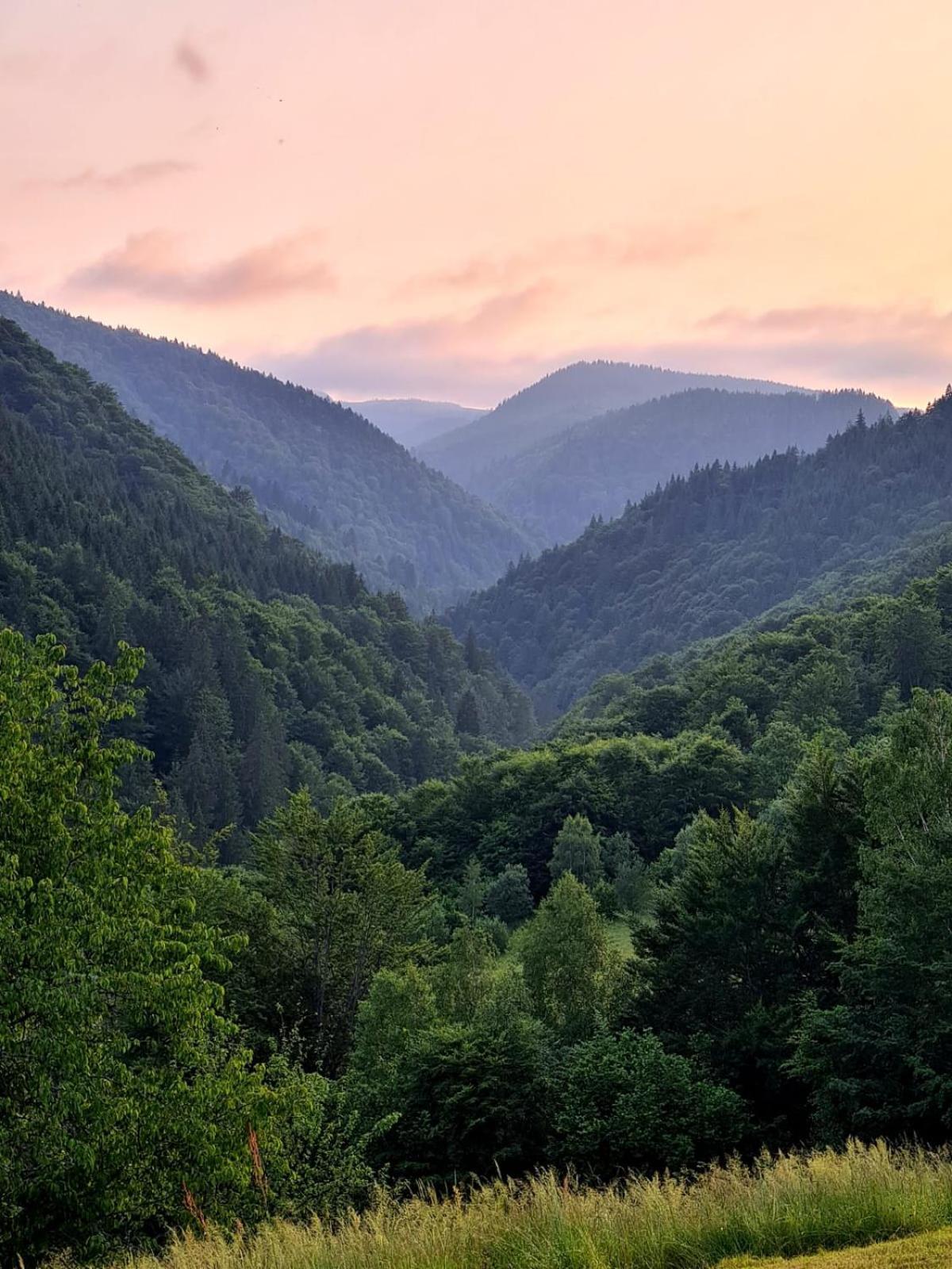 Apuseni Holidays Răchițele Exterior foto